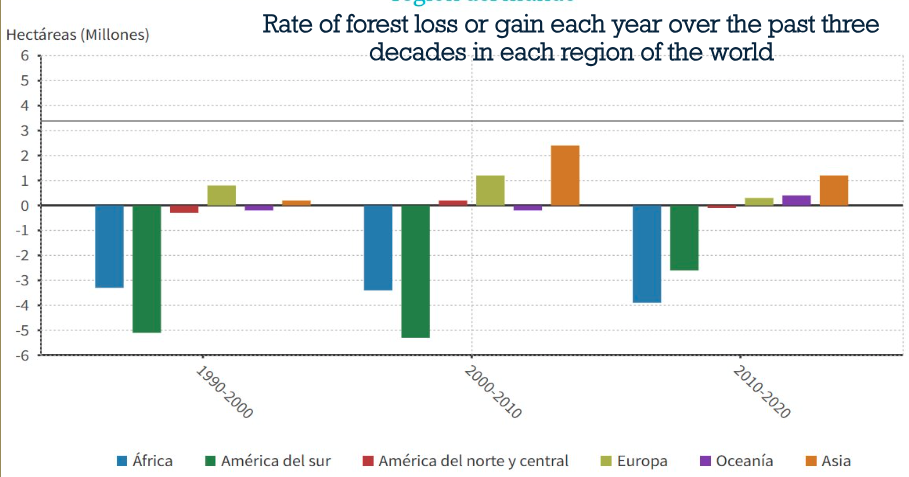 Rate of forest loss or gain each year over the past three decades in each region of the world​