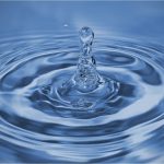 Did you know that we save more than 90% of water when producing our vegetables?​