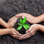 Did you know that by adopting more sustainable agricultural practices, we can preserve the biodiversity and fertility of our soils?