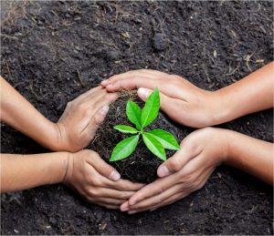 soil education2